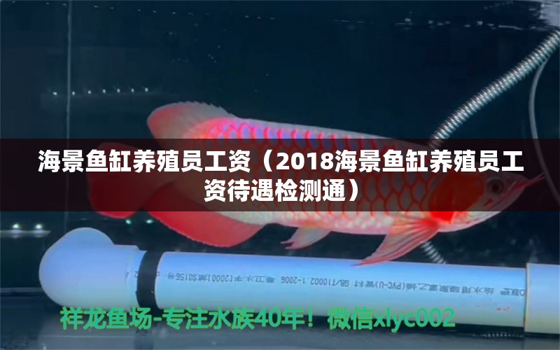 海景鱼缸养殖员工资（2018海景鱼缸养殖员工资待遇检测通） 鱼缸百科 第2张