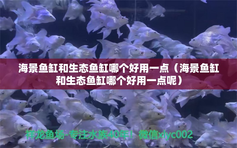 海景鱼缸和生态鱼缸哪个好用一点（海景鱼缸和生态鱼缸哪个好用一点呢） 胭脂孔雀龙鱼