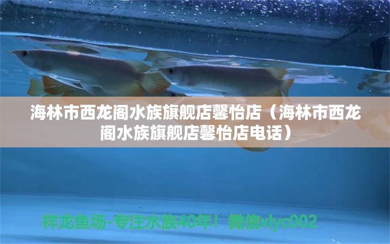 海林市西龙阁水族旗舰店馨怡店（海林市西龙阁水族旗舰店馨怡店电话） 全国水族馆企业名录