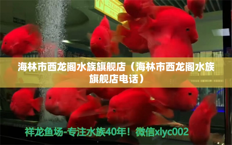 海林市西龙阁水族旗舰店（海林市西龙阁水族旗舰店电话） 全国水族馆企业名录