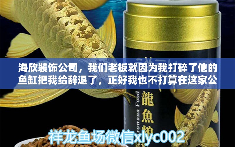 海欣装饰公司，我们老板就因为我打碎了他的鱼缸把我给辞退了，正好我也不打算在这家公司呆下去了所以我准备向单位索要赔偿金，单位违法解除劳动合同的应当支付多少的赔偿金呢