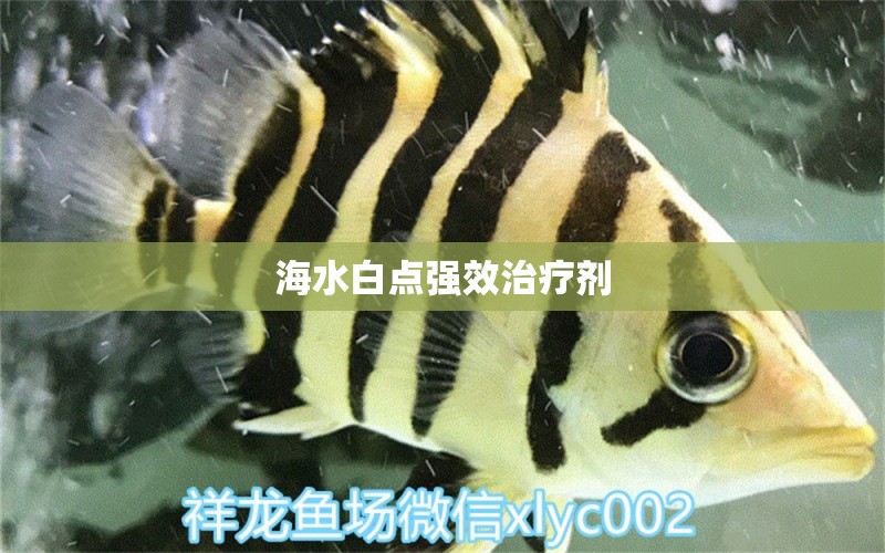 海水白点强效治疗剂 广州水族器材滤材批发市场