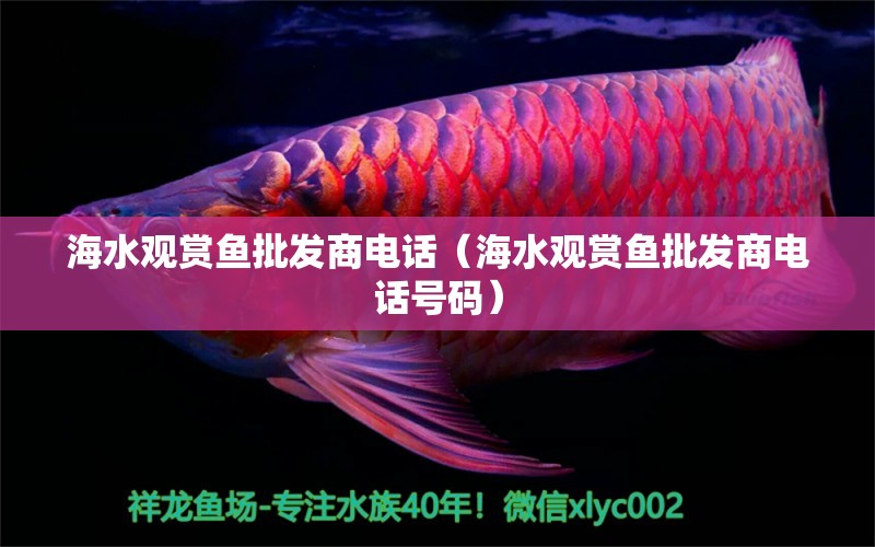 海水观赏鱼批发商电话（海水观赏鱼批发商电话号码）