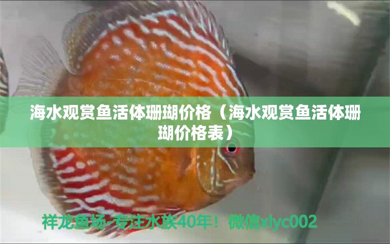 海水观赏鱼活体珊瑚价格（海水观赏鱼活体珊瑚价格表）