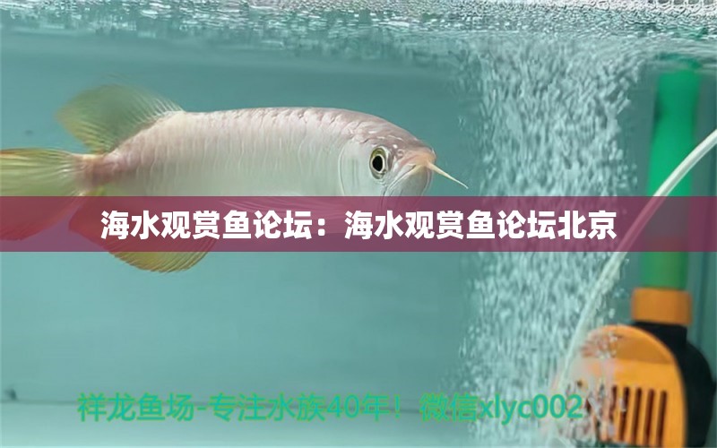 海水观赏鱼论坛：海水观赏鱼论坛北京 观赏鱼鱼苗