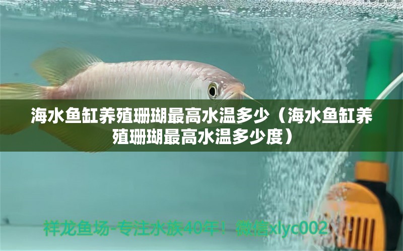 海水鱼缸养殖珊瑚最高水温多少（海水鱼缸养殖珊瑚最高水温多少度）