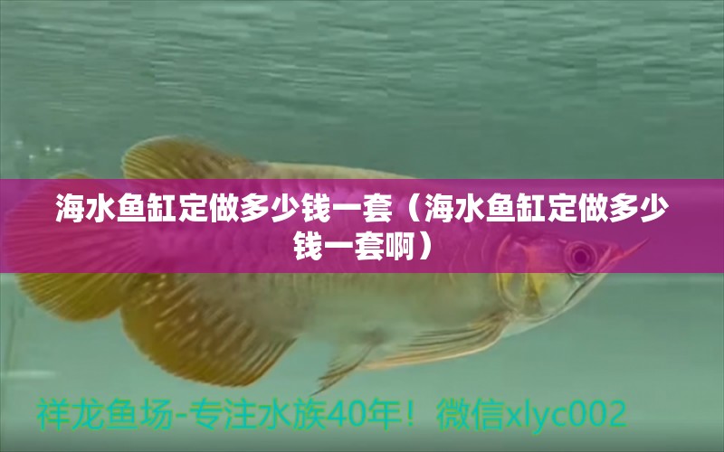 海水鱼缸定做多少钱一套（海水鱼缸定做多少钱一套啊）