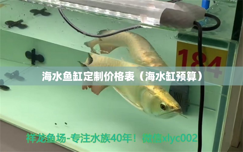 海水鱼缸定制价格表（海水缸预算）