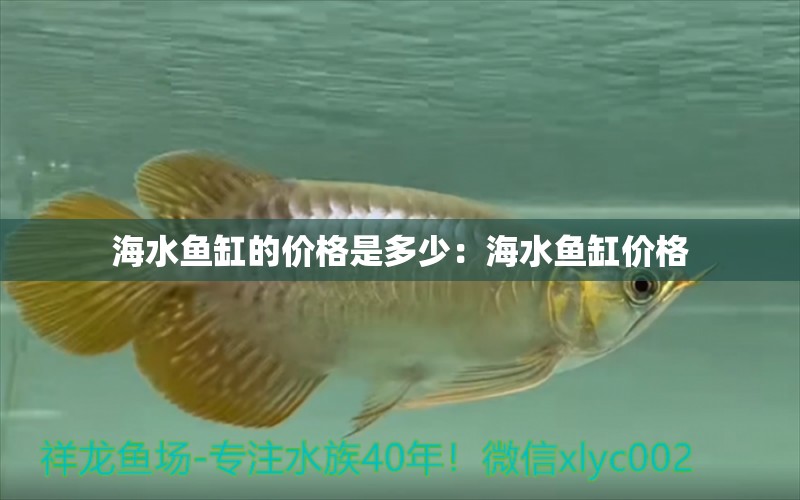 海水鱼缸的价格是多少：海水鱼缸价格 鱼缸百科 第2张