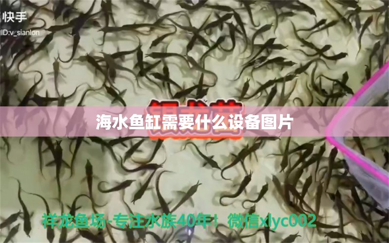 海水鱼缸需要什么设备图片 水族问答 第1张