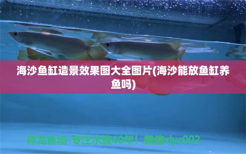 海沙鱼缸造景效果图大全图片(海沙能放鱼缸养鱼吗) 白化火箭 第1张