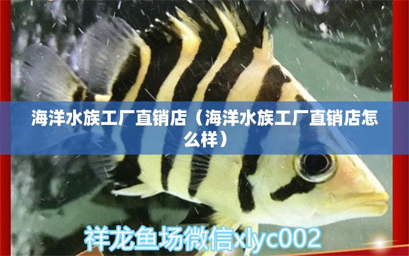 海洋水族工厂直销店（海洋水族工厂直销店怎么样）