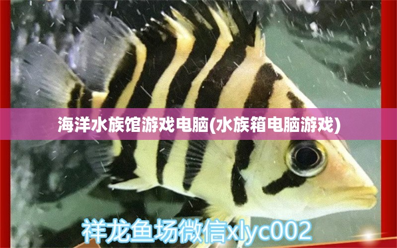 海洋水族馆游戏电脑(水族箱电脑游戏) 鱼缸/水族箱