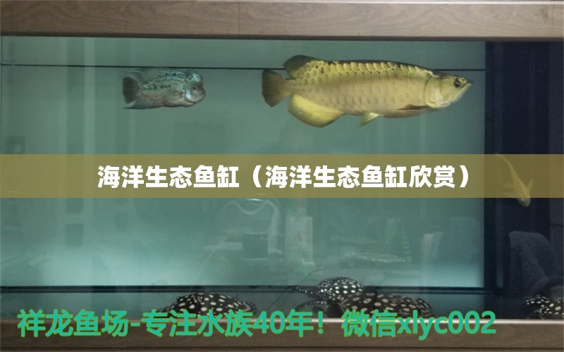 海洋生态鱼缸（海洋生态鱼缸欣赏）