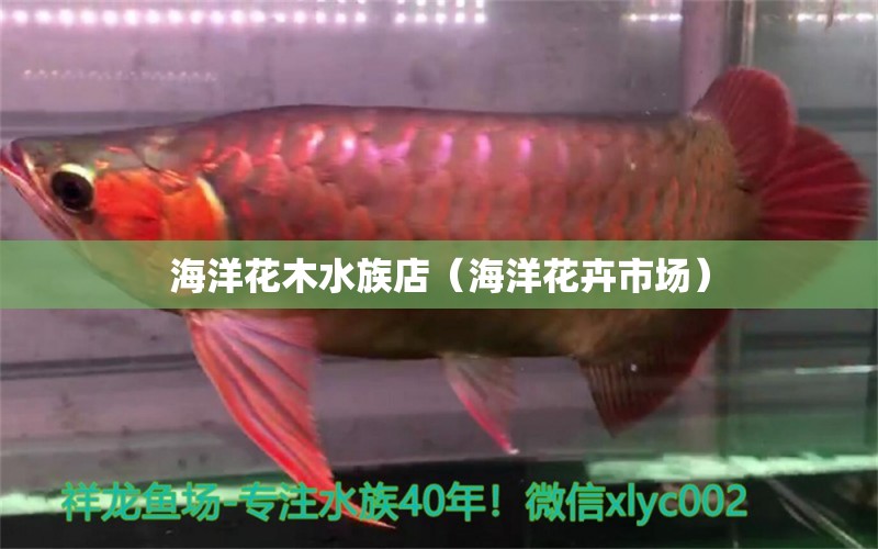 海洋花木水族店（海洋花卉市场） 全国水族馆企业名录