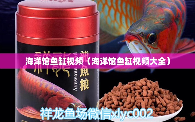 海洋馆鱼缸视频（海洋馆鱼缸视频大全） 其他品牌鱼缸