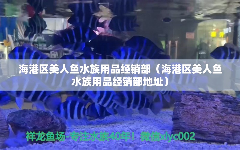 海港区美人鱼水族用品经销部（海港区美人鱼水族用品经销部地址） 水族用品