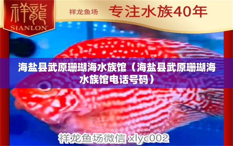 海盐县武原珊瑚海水族馆（海盐县武原珊瑚海水族馆电话号码）