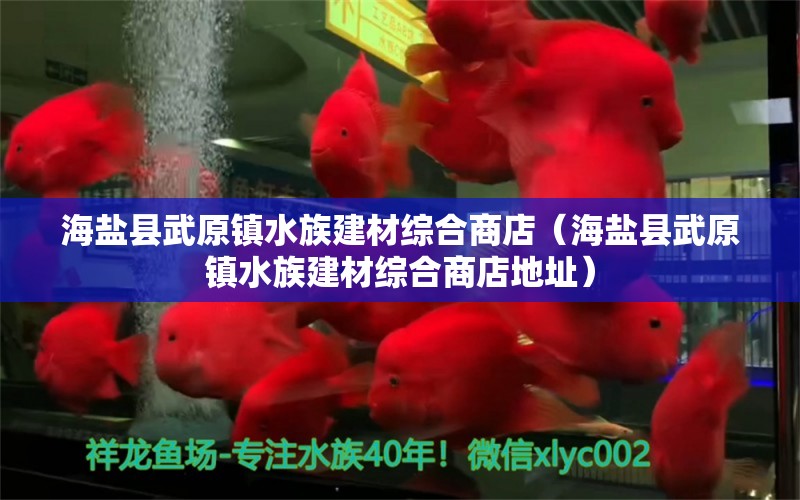 海盐县武原镇水族建材综合商店（海盐县武原镇水族建材综合商店地址）