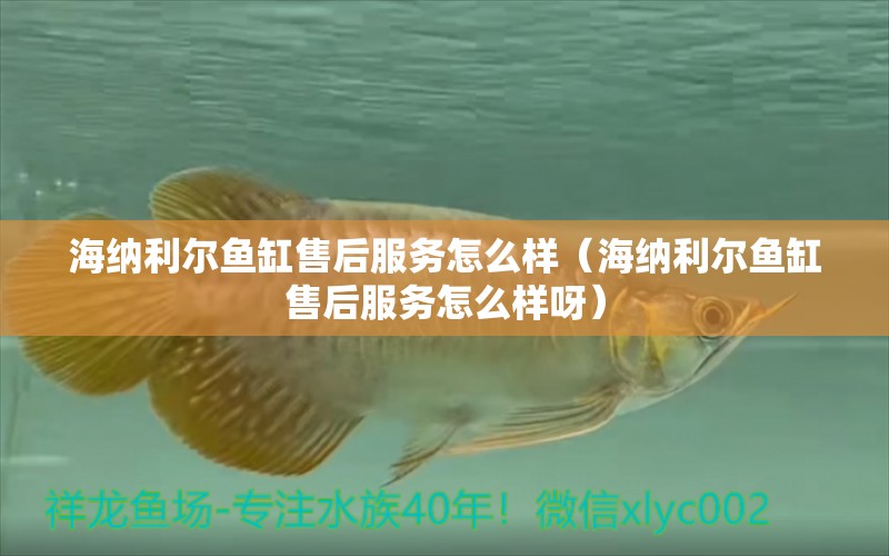 海纳利尔鱼缸售后服务怎么样（海纳利尔鱼缸售后服务怎么样呀） 速倍妥鱼粮鱼药