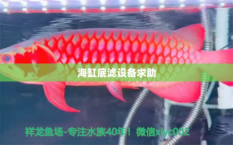 海缸底滤设备求助 观赏鱼论坛 第2张