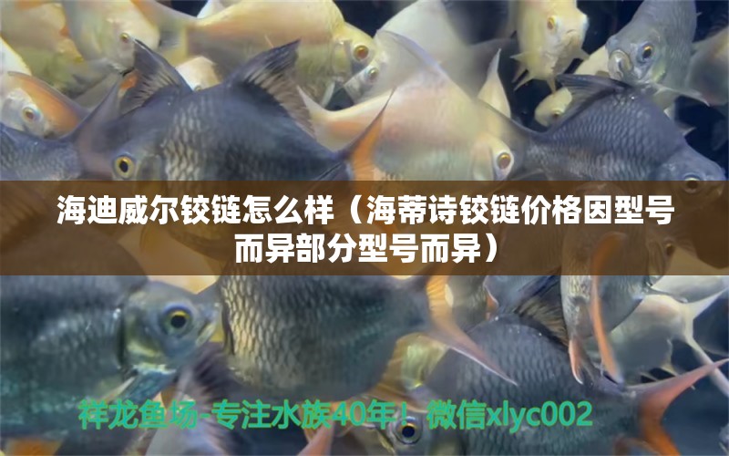 海迪威尔铰链怎么样（海蒂诗铰链价格因型号而异部分型号而异） 祥龙水族滤材/器材 第2张