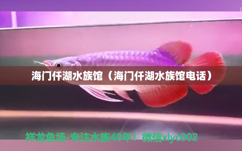 海门仟湖水族馆（海门仟湖水族馆电话）