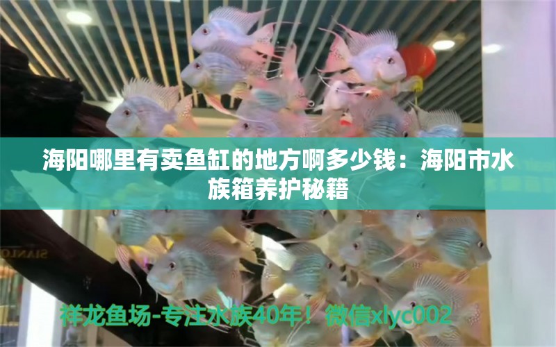 海阳哪里有卖鱼缸的地方啊多少钱：海阳市水族箱养护秘籍 广州观赏鱼批发市场 第2张