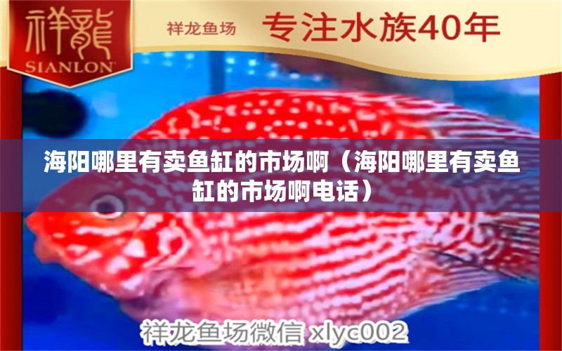 海阳哪里有卖鱼缸的市场啊（海阳哪里有卖鱼缸的市场啊电话）