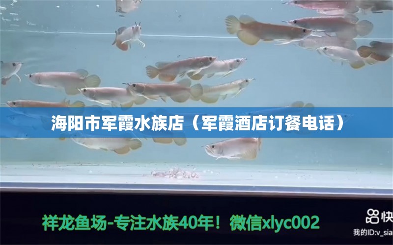 海阳市军霞水族店（军霞酒店订餐电话）