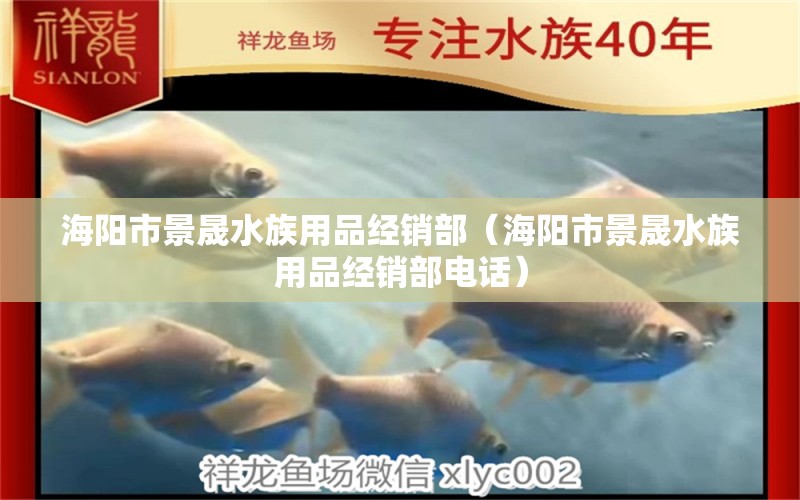 海阳市景晟水族用品经销部（海阳市景晟水族用品经销部电话） 水族用品