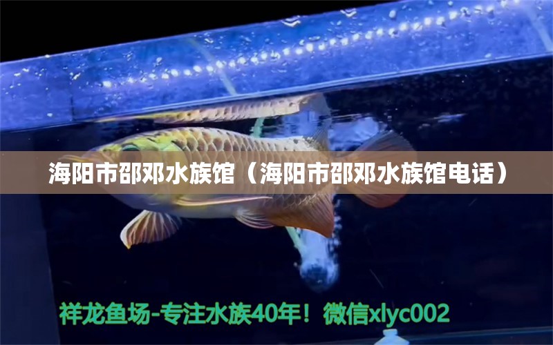 海阳市邵邓水族馆（海阳市邵邓水族馆电话）