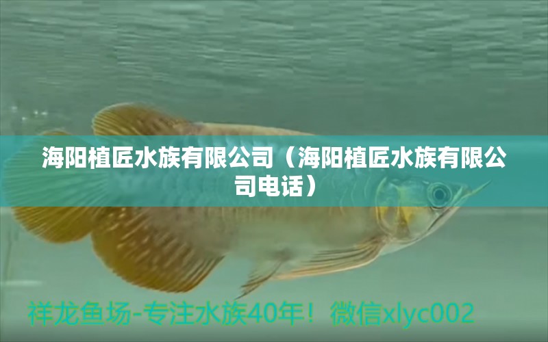 海阳植匠水族有限公司（海阳植匠水族有限公司电话） 全国水族馆企业名录