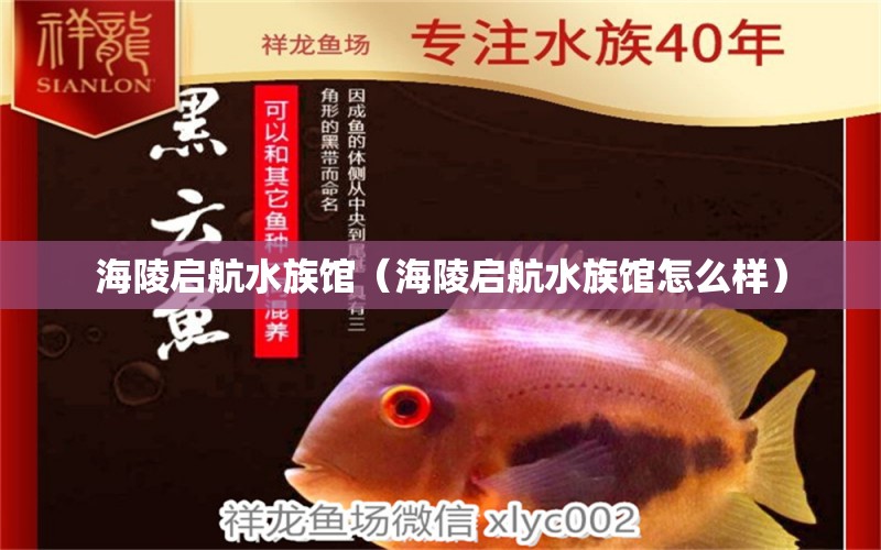 海陵启航水族馆（海陵启航水族馆怎么样） 全国水族馆企业名录