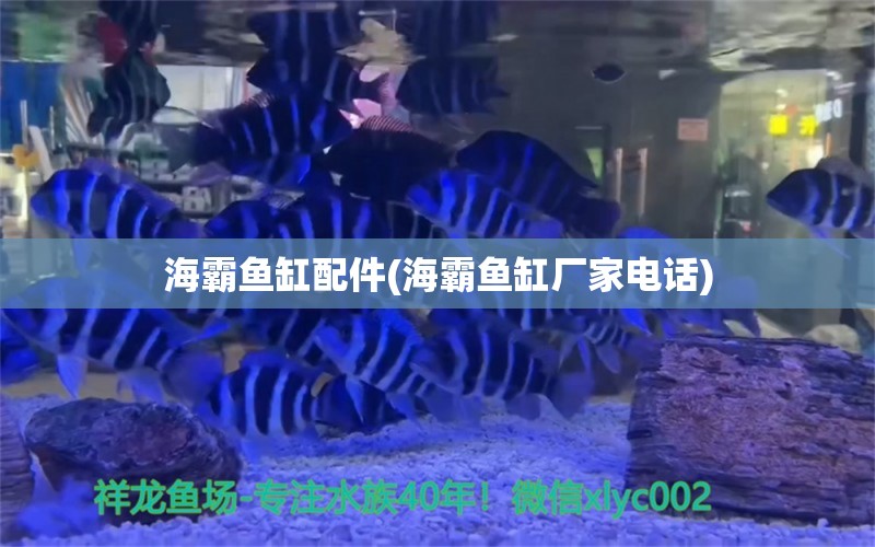 海霸鱼缸配件(海霸鱼缸厂家电话)