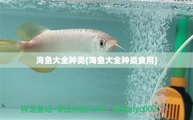 海鱼大全种类(海鱼大全种类食用) 罗汉鱼