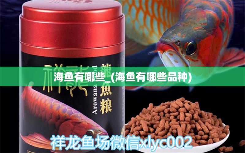 海鱼有哪些_(海鱼有哪些品种) 广州水族器材滤材批发市场 第1张