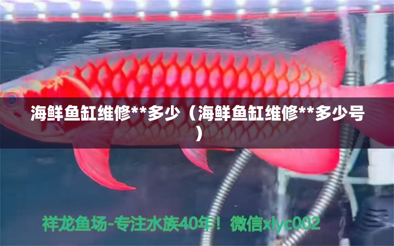 海鲜鱼缸维修**多少（海鲜鱼缸维修**多少号） 祥龙水族医院