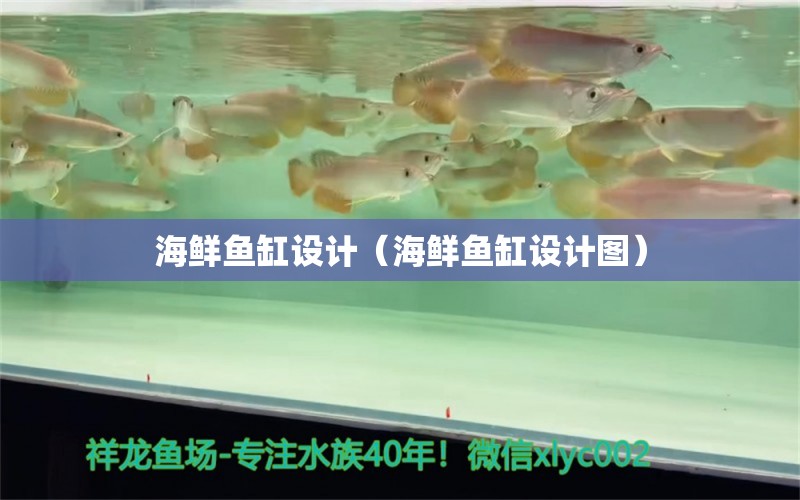 海鲜鱼缸设计（海鲜鱼缸设计图）