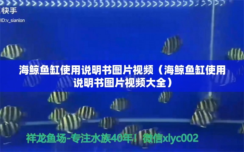 海鲸鱼缸使用说明书图片视频（海鲸鱼缸使用说明书图片视频大全）