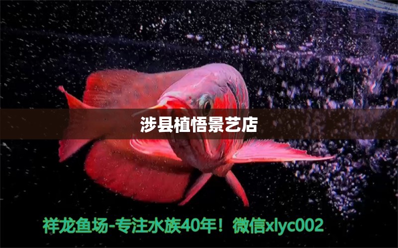 涉县植悟景艺店 全国水族馆企业名录