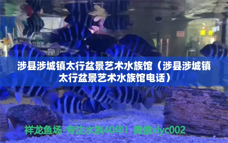 涉县涉城镇太行盆景艺术水族馆（涉县涉城镇太行盆景艺术水族馆电话） 全国水族馆企业名录