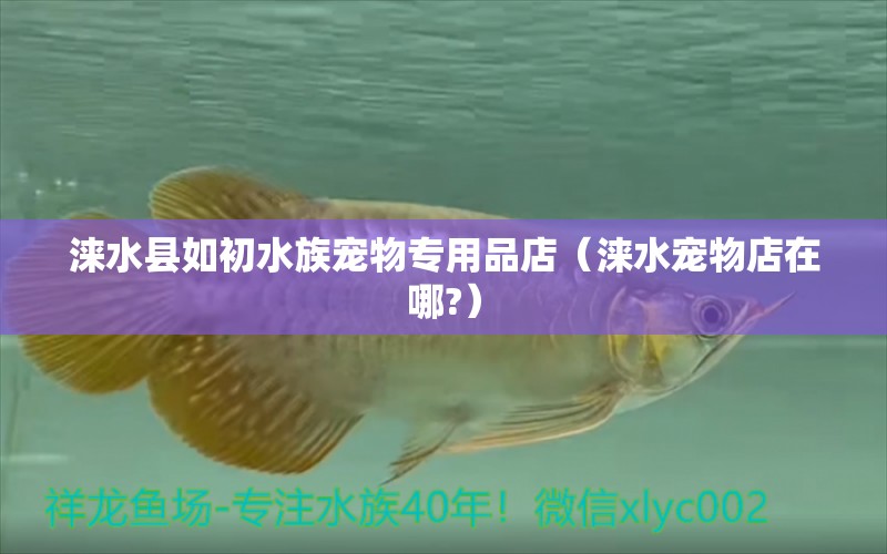 涞水县如初水族宠物专用品店（涞水宠物店在哪?） 全国水族馆企业名录