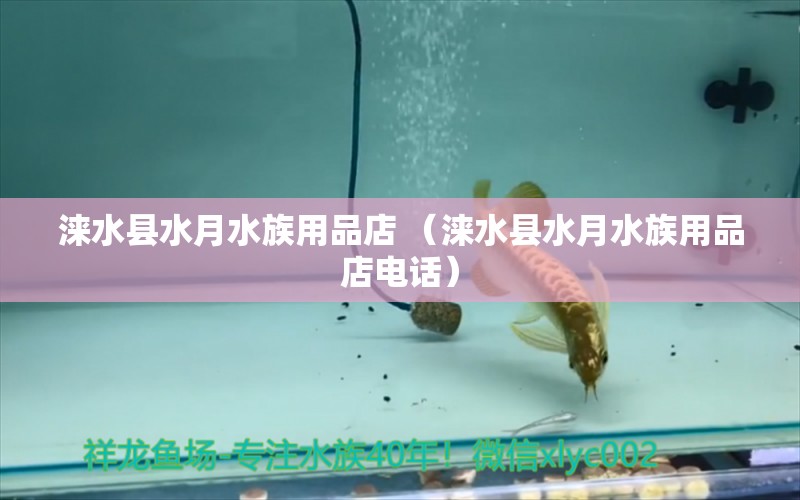 涞水县水月水族用品店 （涞水县水月水族用品店电话）