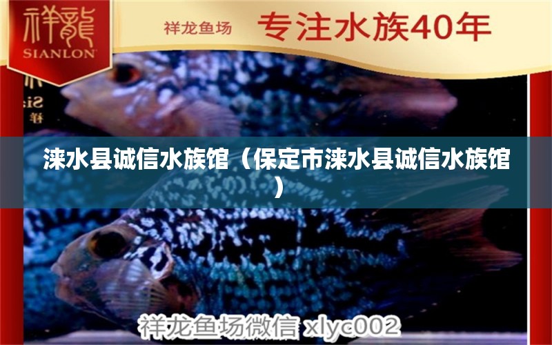 涞水县诚信水族馆（保定市涞水县诚信水族馆） 全国观赏鱼市场 第2张