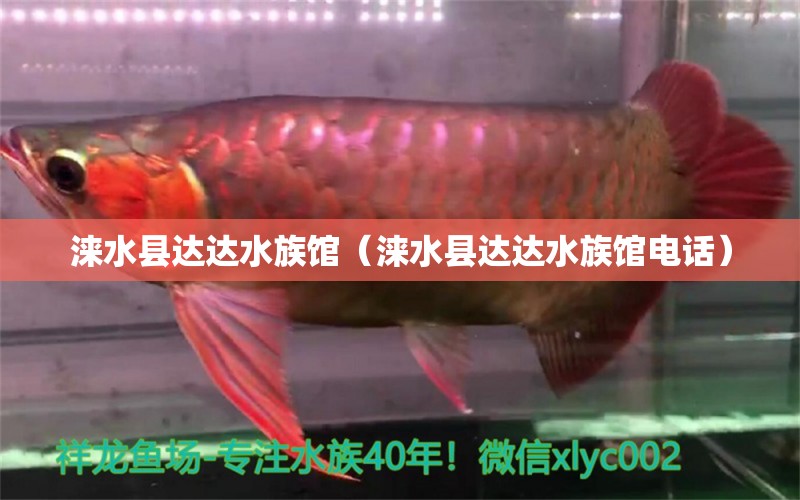 涞水县达达水族馆（涞水县达达水族馆电话）