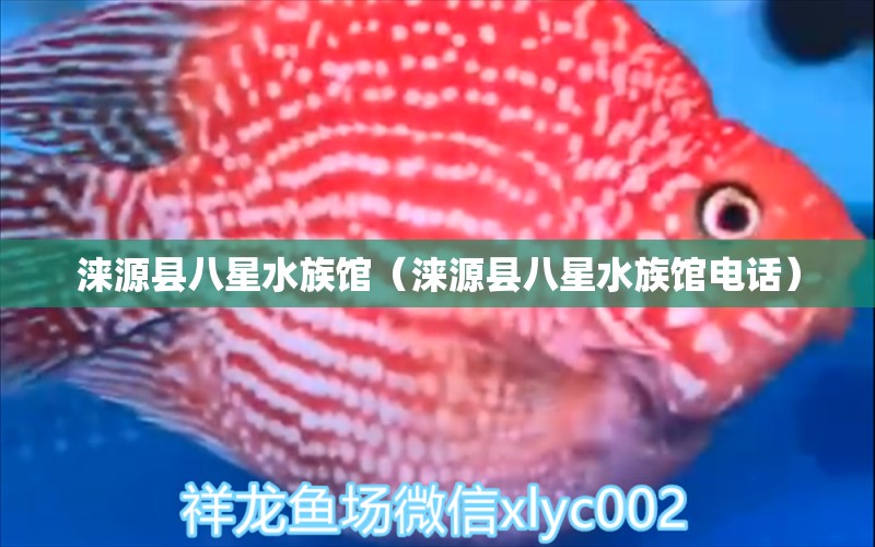 涞源县八星水族馆（涞源县八星水族馆电话）