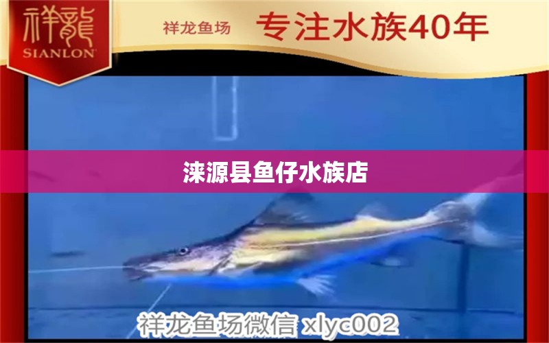 涞源县鱼仔水族店