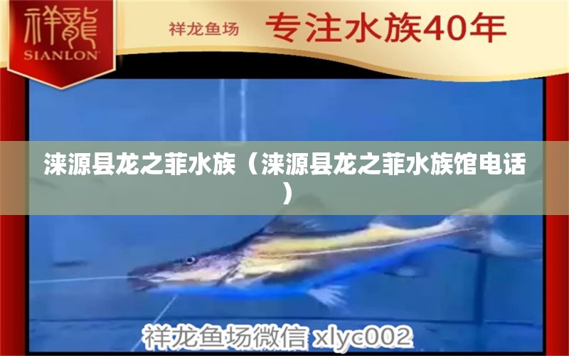 涞源县龙之菲水族（涞源县龙之菲水族馆电话）