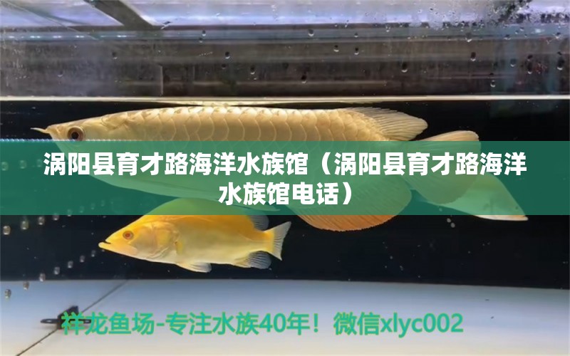 涡阳县育才路海洋水族馆（涡阳县育才路海洋水族馆电话） 全国水族馆企业名录